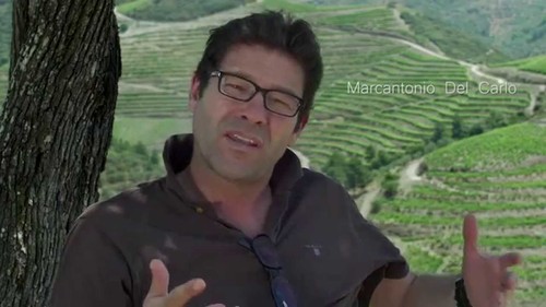 marcantonio del carlo.jpg