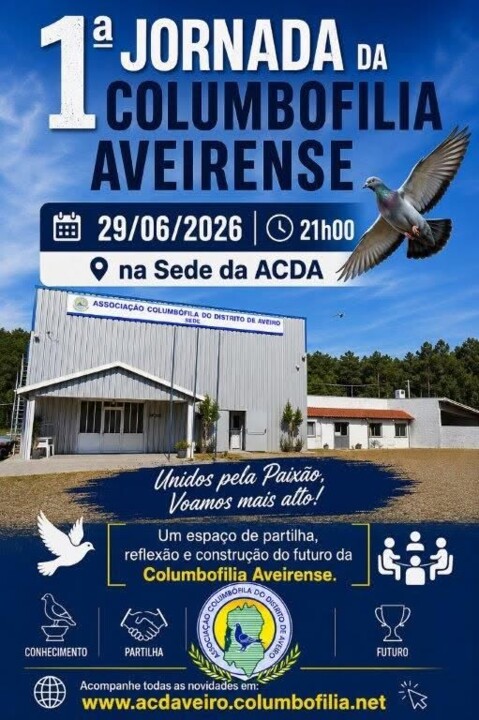 Aveiro.jpg