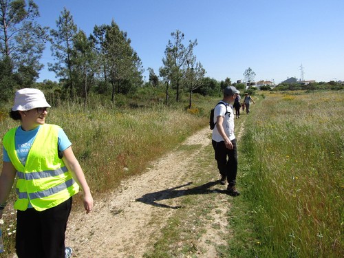 13116365_1133823046649347_6543822572800122329_o.jp