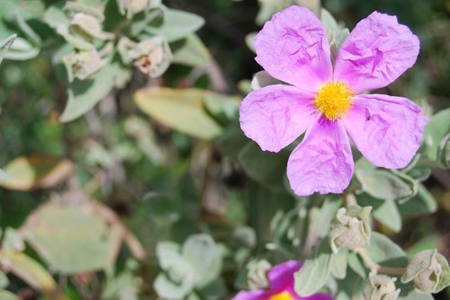 9. Miguel Pereira.jpg