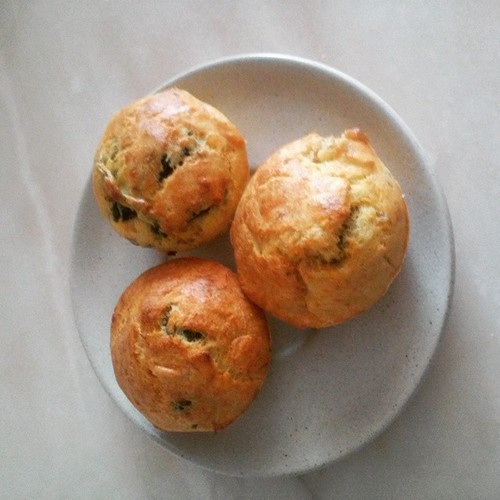 11017069_10200383016894334_2017472397614697724_n.j