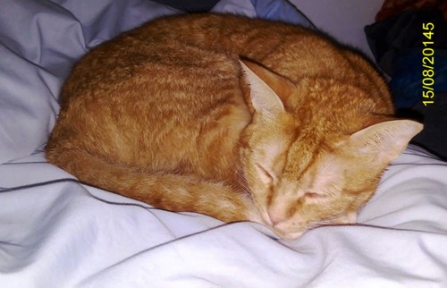 depois-do-banho.jpg depois-do-banho.jpg