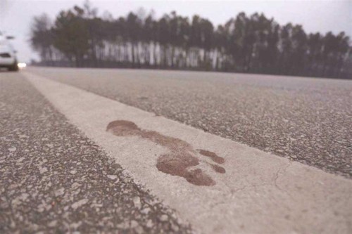 Foto: André Gouveia/Global Imagens