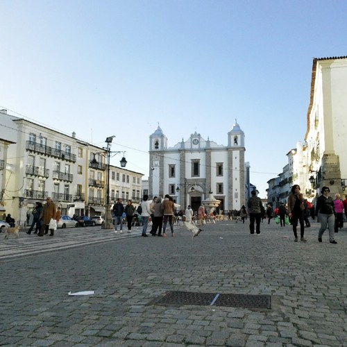 COPYRIGHT O RAPAZ DAS ILHAS