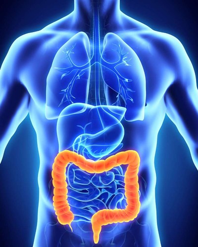 HIDROCOLON NATURENA (0).jpg