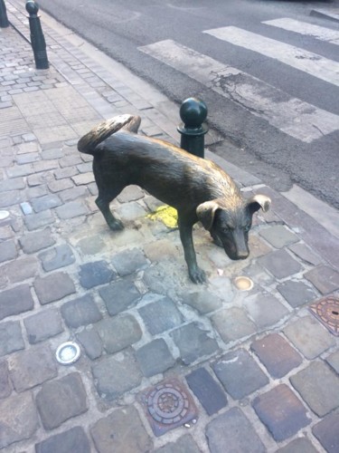 38676562_1923486377673119_6284784713198469120_n.jp