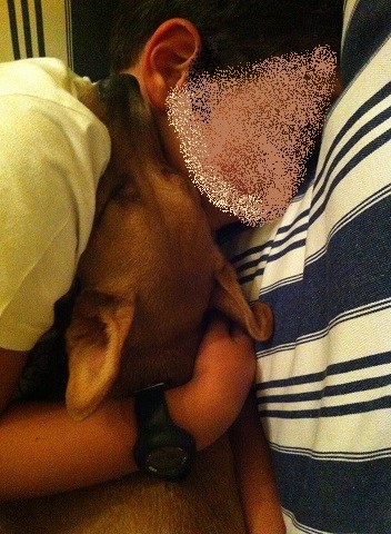 Myssi e pequenino.jpg