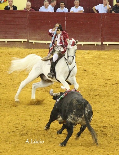 Parreirita Cigano.jpg