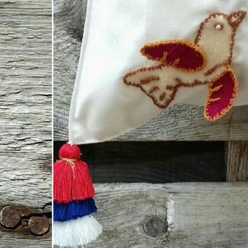 33491870_1901516183214672_6030196781516587008_n.jp