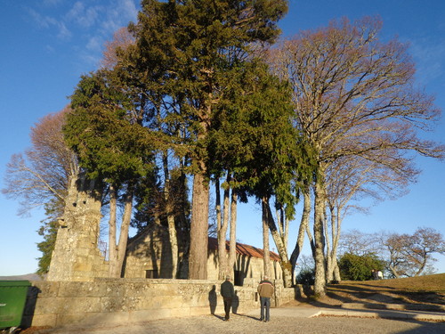 DSC01903.JPG DSC01903.JPG