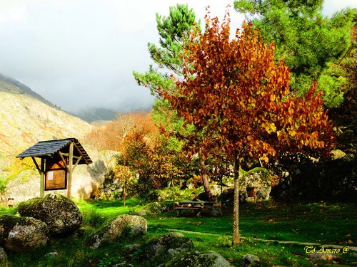 Fotos de Outono !!! 065.jpg