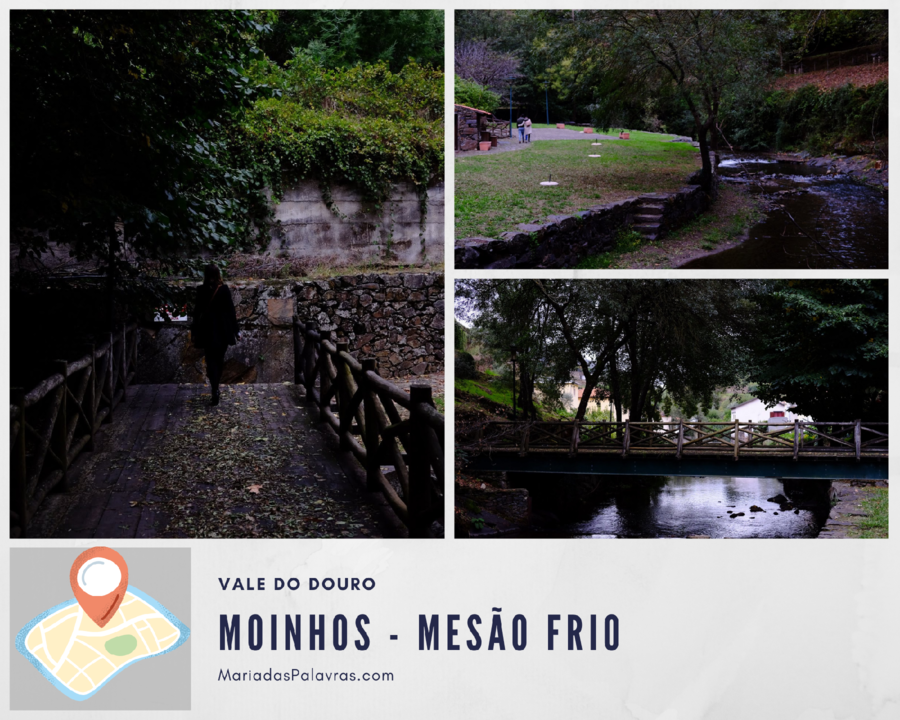 Moinhos em Mesão Frio - Maria das Palavras