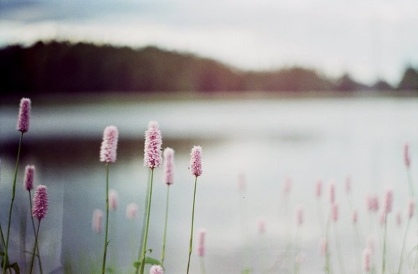 130738248_3453465421415972_2054269975122223345_n.j