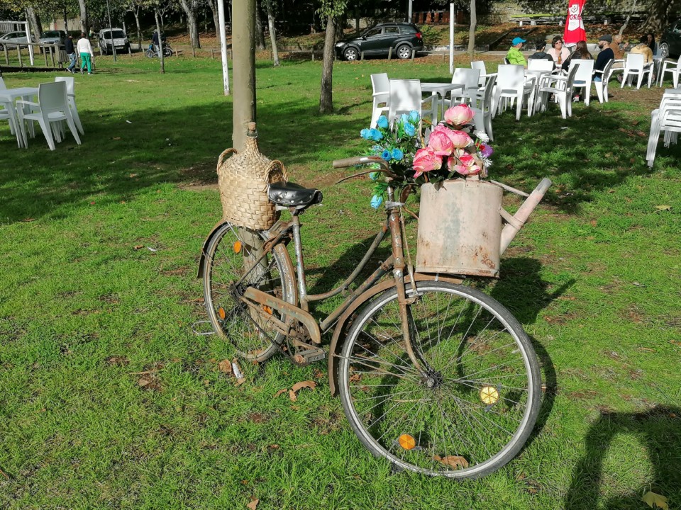 IMG_20201004_161359.jpg IMG_20201004_161359.jpg