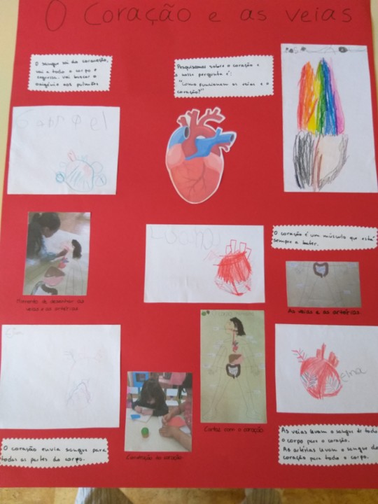 20210609_134302.jpg 20210609_134302.jpg