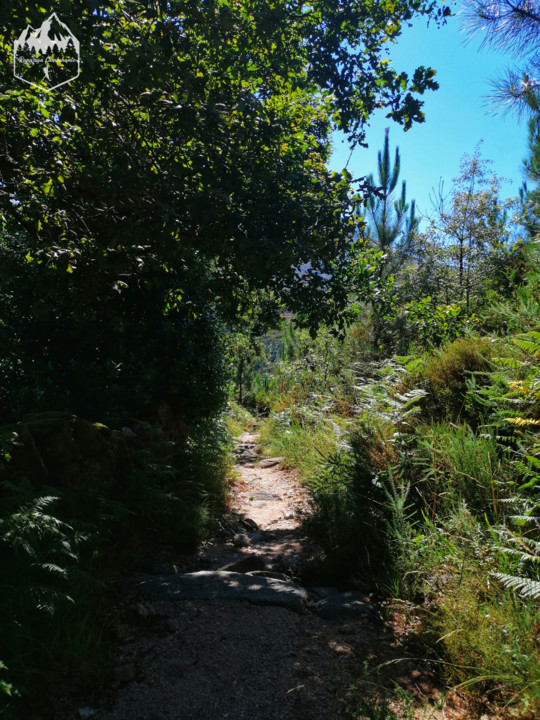 Photo_1598340703067.jpg Photo_1598340703067.jpg