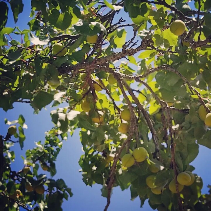 284097214_2319846624821752_8351525208095799007_n.j