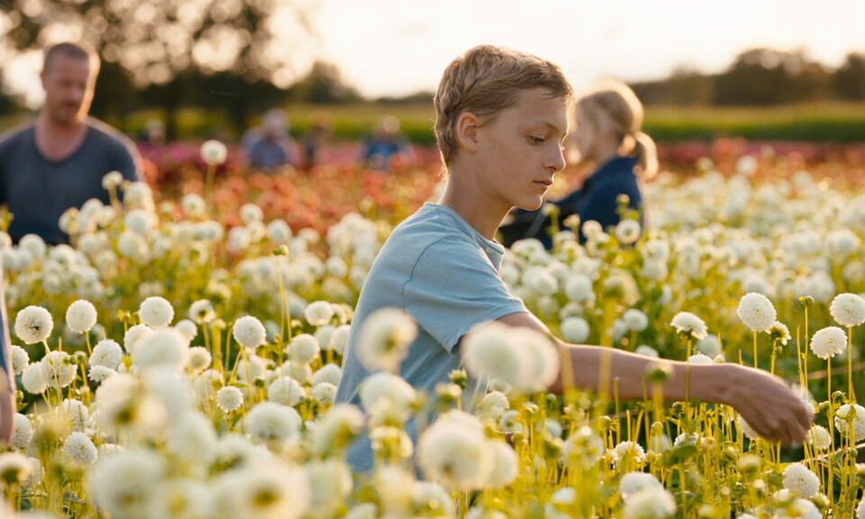 lukas_dhont_close_leo_picking_flowers.jpg