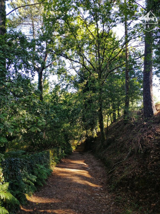 Photo_1598340621246.jpg Photo_1598340621246.jpg