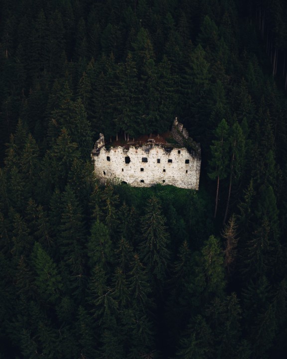 o artista e a religião do politicamente correcto, Roberto Gamito 