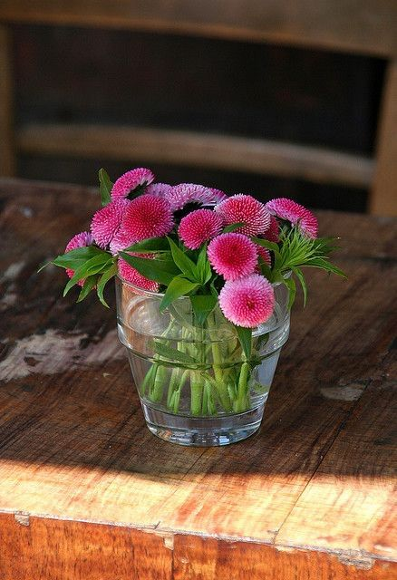 31870867_1892648217433923_5182105723135328256_n.pn