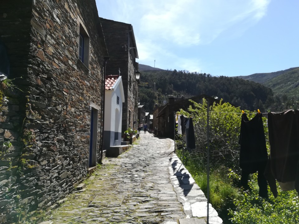 IMG_20190427_155547.jpg