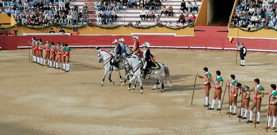 Alternativa de Tristão Telles.jpg