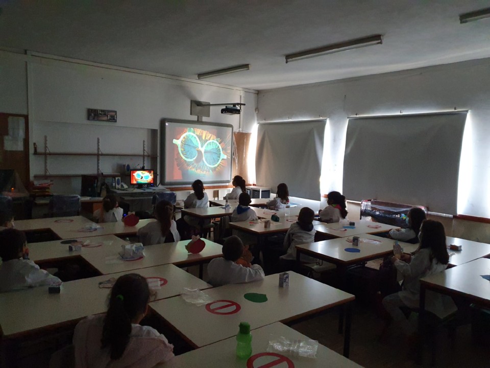 125345695_2876530016006073_1562094559686079659_o.j