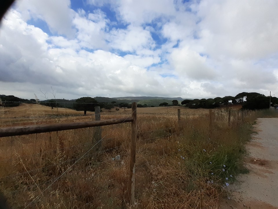 Foto Original. 20210621_094621.jpg