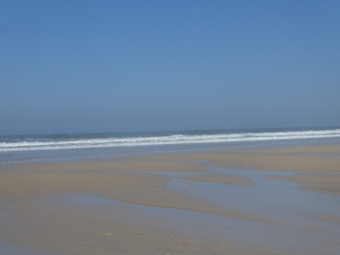 26a_Praia_da_Torreira (21).JPG