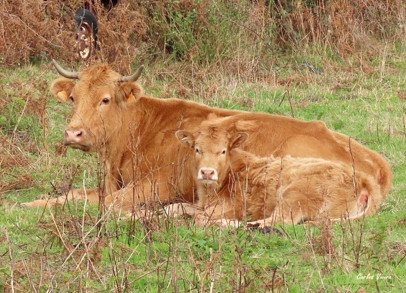 123140175_10224992647989951_3540020591030048164_n.