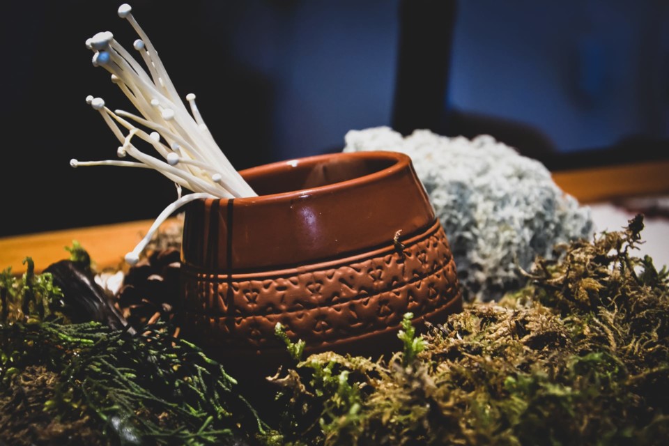 1fdc80fe-fb62-4bd3-aca5-543a5c0c6711.jpg 1fdc80fe-fb62-4bd3-aca5-543a5c0c6711.jpg