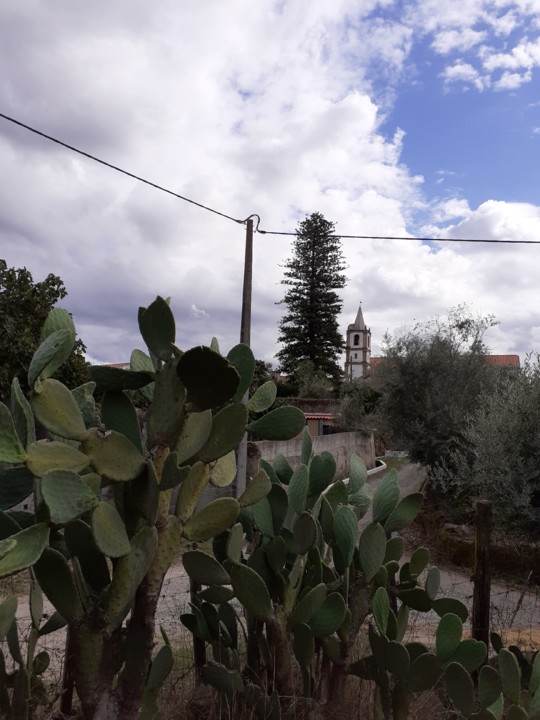 Igreja e Araucária. Foto Original. 2021.09.23.jpg