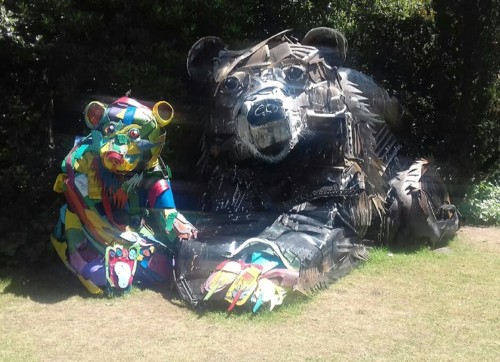 32076709_1883746711658286_1845522265697943552_n.jp