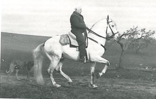 Dr. Ruy d'Andrade.jpg Dr. Ruy d'Andrade.jpg