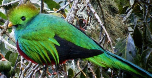 Screen Shot 2016-08-19 at 19.38.45.png Screen Shot 2016-08-19 at 19.38.45.png