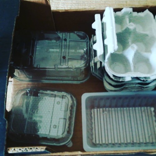 36919026_1141670709306022_5502061394909986816_n.jp