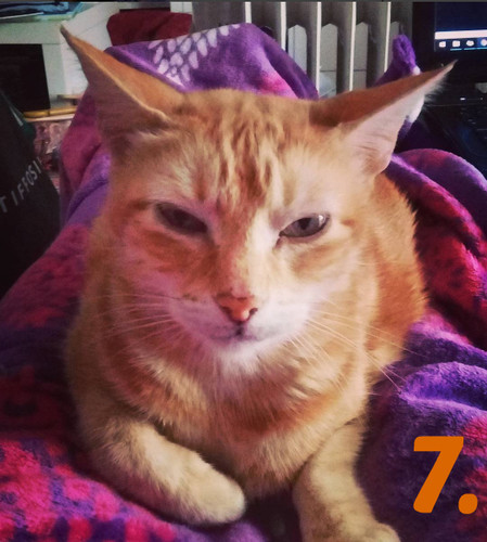 28.1sábado.jpg 28.1sábado.jpg