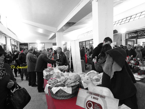 Feira do Queijo Em Seia !!! 154.jpg