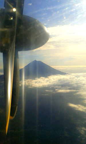 Pico 23nov15.jpg
