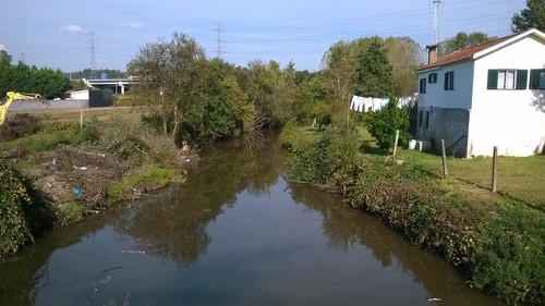 WP_20151009_004.jpg
