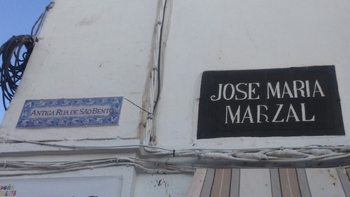 DSC_0076.JPG DSC_0076.JPG