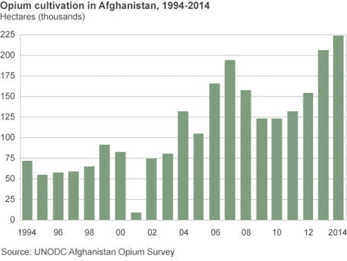 _78930323_afghan_opium_624_fudged.gif