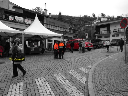 Feira do Queijo Em Seia !!! 196.jpg