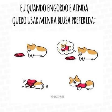 10428090_10200407513786420_1078981560032983648_n.j