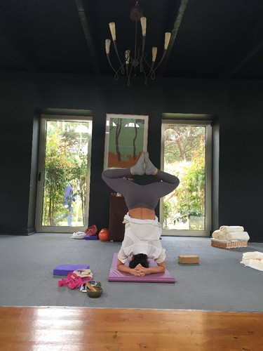 IMG_6393.JPG IMG_6393.JPG