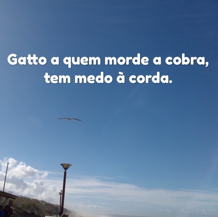 IMG_20190730_202656.jpg IMG_20190730_202656.jpg