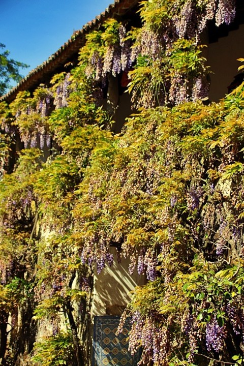 IMG_0706.JPG IMG_0706.JPG