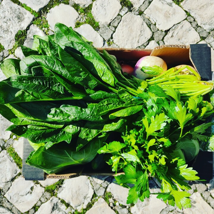 466673081_957862213037856_6297753884326026881_n.jp