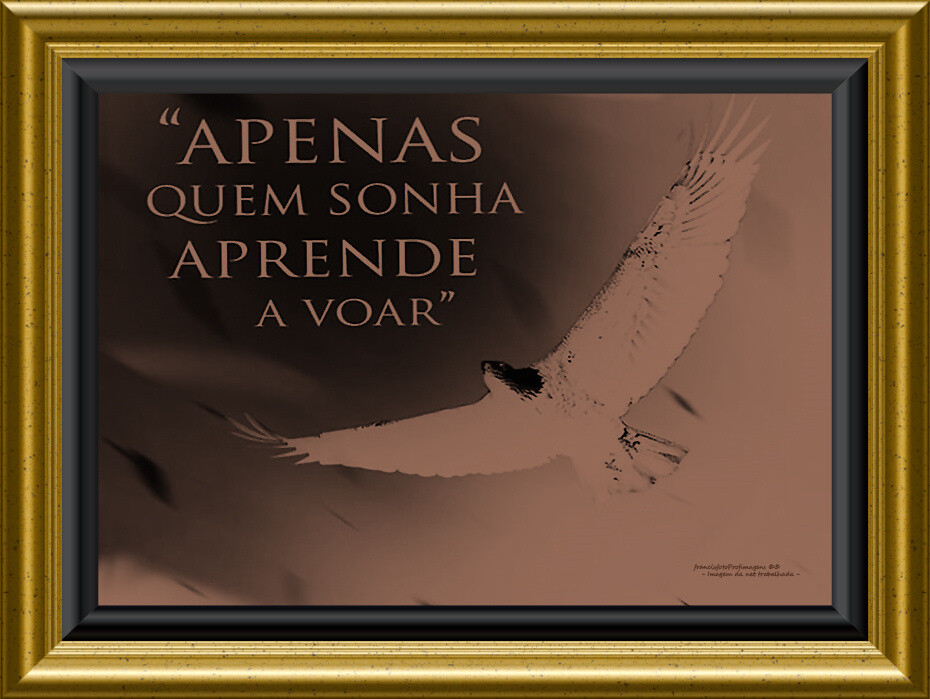 Beber dos sonhos.jpg